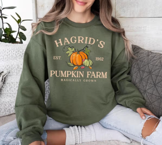 Top 6 Must-Have Halloween Sweatshirts & Hoodies for a Spooky Season, Halloween sweatshirts, Halloween hoodies, spooky shirts, ghost sweatshirt, Harry Potter pumpkin patch hoodie, Stars Hollow sweatshirt, funny Halloween shirts, skeleton hoodie, vintage Halloween fashion
